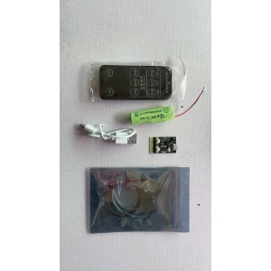 10370 (LED Lighting Kit + Remote only) Poinsettia