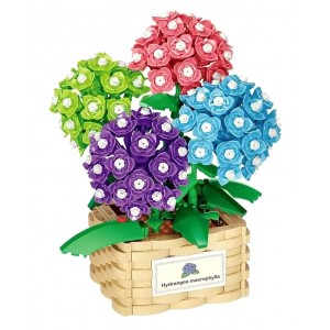 DK 3029 Hydrangea Potted Plants Macrophylla