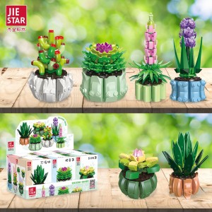 Jie Star 92314 Succulent Bonsai 6 Set: Aloe Nobilis, Sempervivum Tectorum, Echeveria 'Minibelle', Crassula Ovata, Lupin, Hyacinthus Orientalis